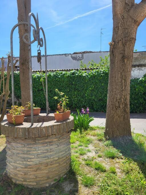 Casa Pascoli Leilighet Ravenna Eksteriør bilde